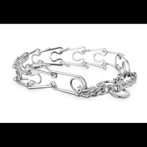 Prong Dog Training Collar Silver